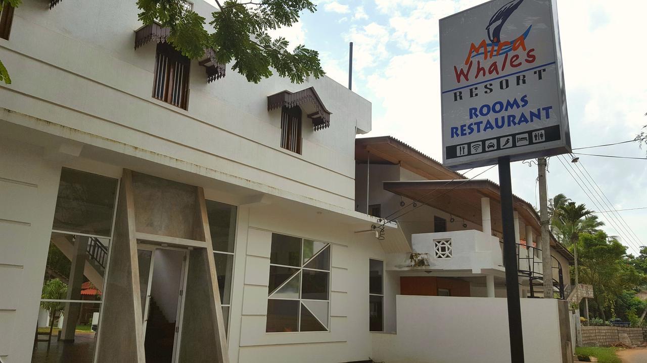 Mira Whales Resort Mirissa Eksteriør billede
